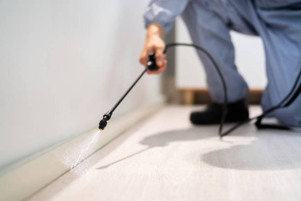 Rodent Entry Point Assessment in Springdale